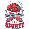 Brain Aneurysm Survivor Spirit