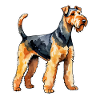 Airedale Terrier Aquarelle