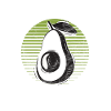 Avocado Gifts
