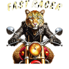 MOTO LÉOPARD FAST RACER