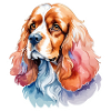 Cocker américain Épagneul Aquarelles