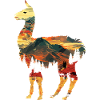 Alpaca Lama Andes South America