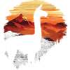 Alpaca Lama Andes South America