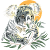 Koala Mignon Koala Ours