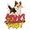 Flyball Most Valuable Pup!