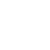 White celtic horse