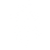 Celtic wolf