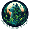 Wolf in the forest
