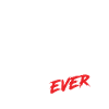Bester Pilot
