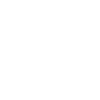Berufspilot