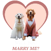 Will you marry me?
