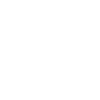 Chiens Teckel Chien