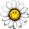 Gänseblümchen