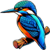 Martin-pêcheur