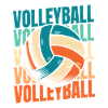 Volleyball Volleyball Players