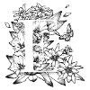 Initiale E