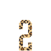 Holiday Name Jersey #2