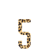 Holiday Name Jersey #5