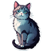 Cute cat