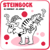 Sternzeichen Steinbock