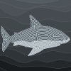 Labyrinthe-requin
