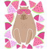 CAPYBARA- WATERMELON - SUMMER- GLASSES