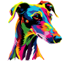Perros Galgos Colores Coloridos Pop Art Perro Galgo Galgo