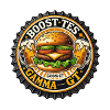 Boost tes Gamma GT