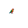 parrot heartbeat