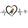 parrot heartbeat