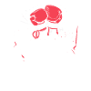 Boxsport-Coach