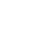 Kiwi Bird