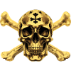 Golden Pirate Skull ☠