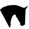 Edles Pferdekopf Design