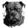 American Staffordshire Terrier