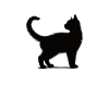 I love cats