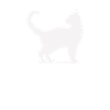 I love cats