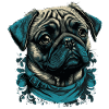 Kleiner Mops