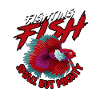 Poisson Betta Betta siamois