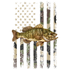 Smallmouth bass