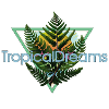 Tropical Dreams