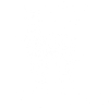 Witziges Alpaka süß