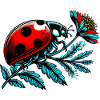 Ladybird