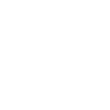 Chihuahua Dog