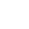 Lion Lion Head