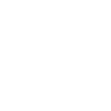 Lion Lion Head