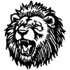 Löwe Löwenkopf