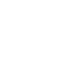Lion Lion Head