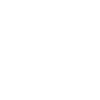 Lion Lion Head
