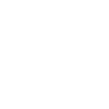 Chihuahua Dog